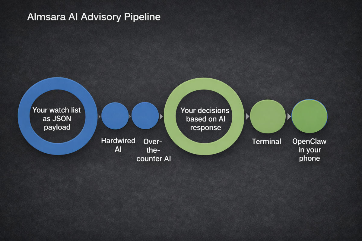 AImsara infographic 4